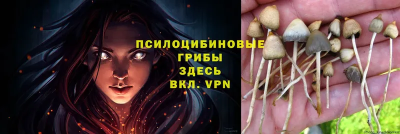 Псилоцибиновые грибы MAGIC MUSHROOMS  гидра зеркало  Белая Холуница 